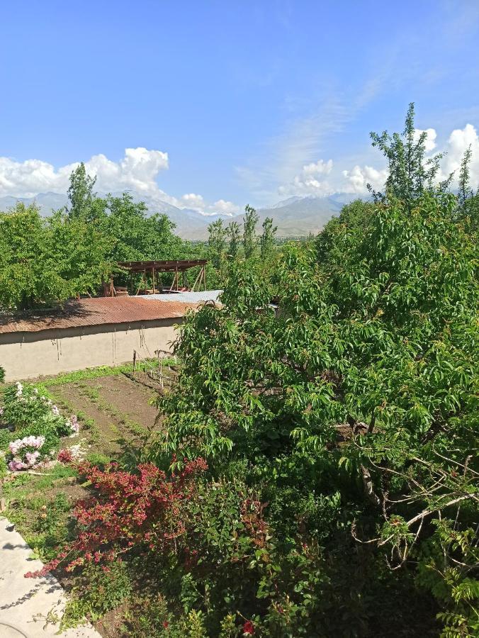 Toktogul Ghesthouse Hotel Bagian luar foto